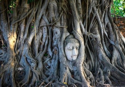excursiones privadas y de lujo a Ayutthaya desde Bangkok