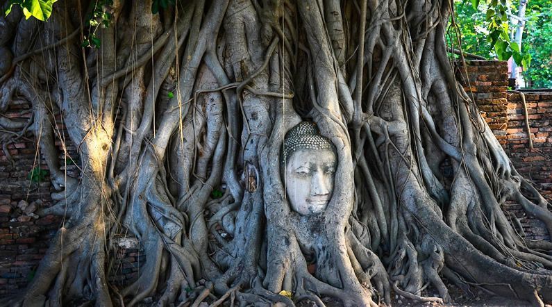 excursiones privadas y de lujo a Ayutthaya desde Bangkok